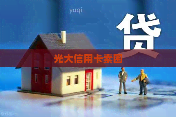 光大信用卡素困