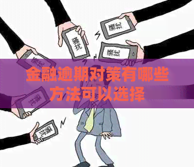 金融逾期对策有哪些方法可以选择