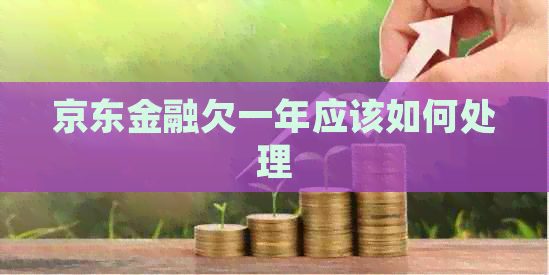 京东金融欠一年应该如何处理