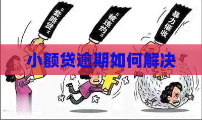 小额贷逾期如何解决