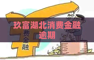 玖富湖北消费金融逾期