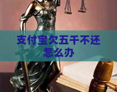 支付宝欠五千不还怎么办