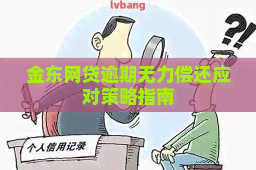 金东网贷逾期无力偿还应对策略指南