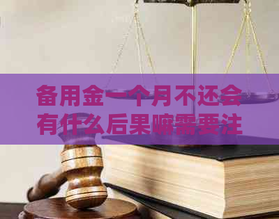 备用金一个月不还会有什么后果嘛需要注意什么