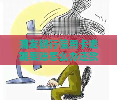 浦发银行信用卡逾期呆账怎么办还款方法有哪些