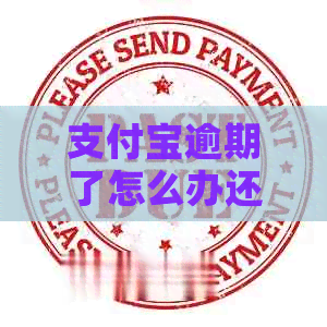 支付宝逾期了怎么办还不起快速解决办法分享