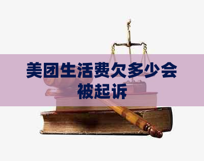 美团生活费欠多少会被起诉