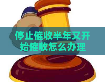 停止半年又开始怎么办理