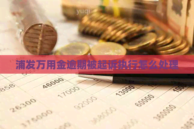 浦发万用金逾期被起诉执行怎么处理