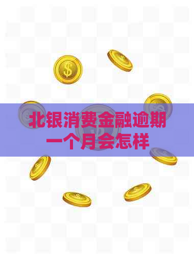 北银消费金融逾期一个月会怎样