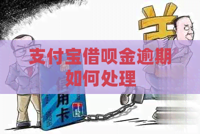 支付宝借呗金逾期如何处理