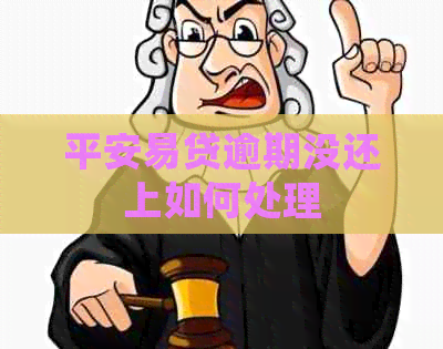 平安易贷逾期没还上如何处理