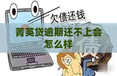 菁英贷逾期还不上会怎么样