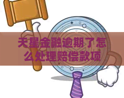 天星金融逾期了怎么处理赔偿款项