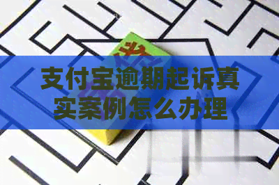 支付宝逾期起诉真实案例怎么办理