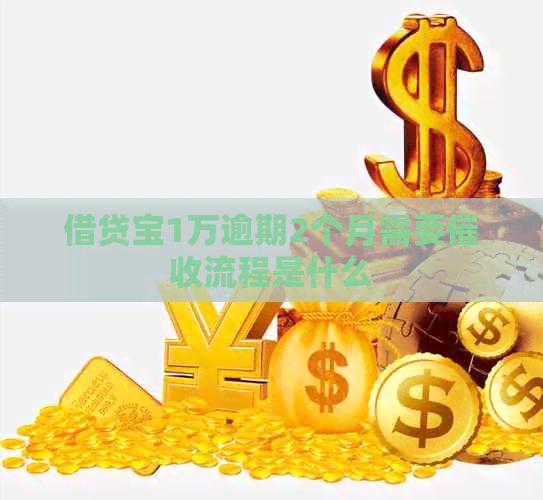 借贷宝1万逾期2个月需要流程是什么