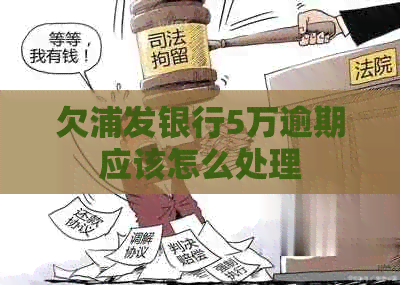 欠浦发银行5万逾期应该怎么处理