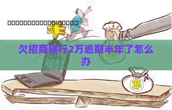 欠招商银行2万逾期半年了怎么办