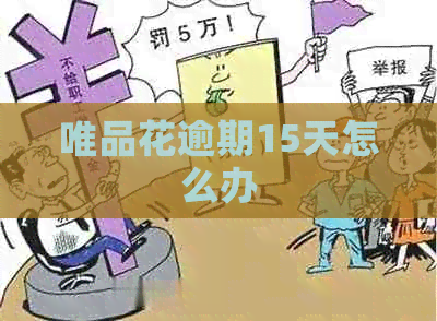 唯品花逾期15天怎么办