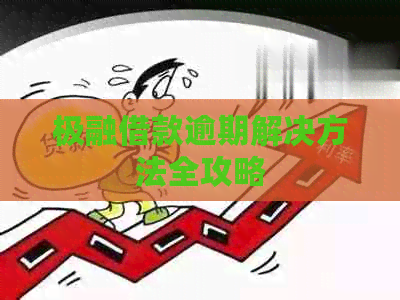 极融借款逾期解决方法全攻略