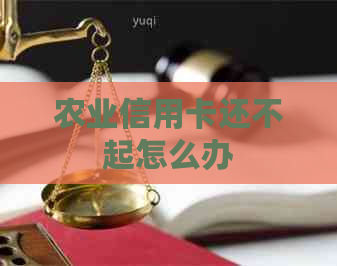 农业信用卡还不起怎么办