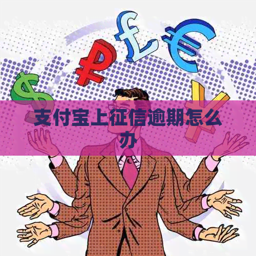 支付宝上逾期怎么办