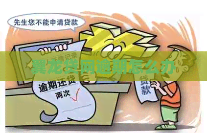 翼龙贷网逾期怎么办