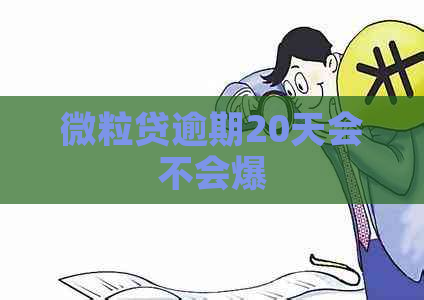 微粒贷逾期20天会不会爆