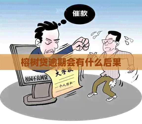 榕树贷逾期会有什么后果