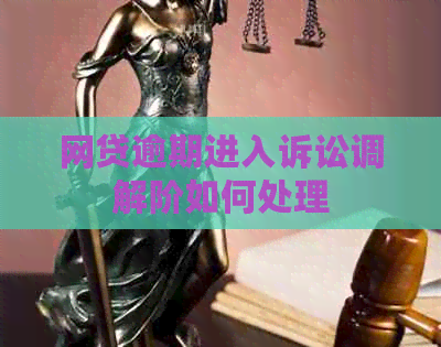 网贷逾期进入诉讼调解阶如何处理