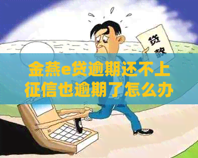 金燕e贷逾期还不上也逾期了怎么办