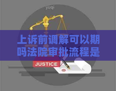 上诉前调解可以期吗法院审批流程是什么