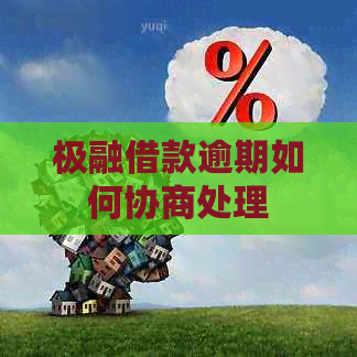 极融借款逾期如何协商处理