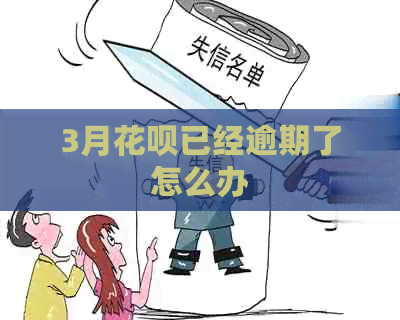 3月花呗已经逾期了怎么办