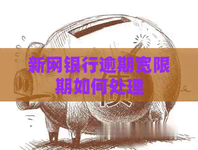 新网银行逾期宽限期如何处理