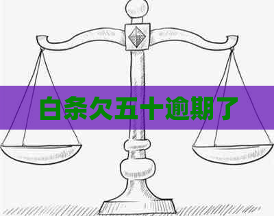 白条欠五十逾期了