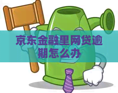 京东金融里网贷逾期怎么办