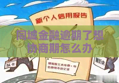 同城金融逾期了想协商期怎么办