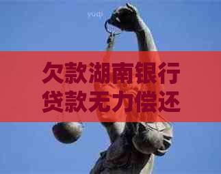 欠款湖南银行贷款无力偿还如何解决