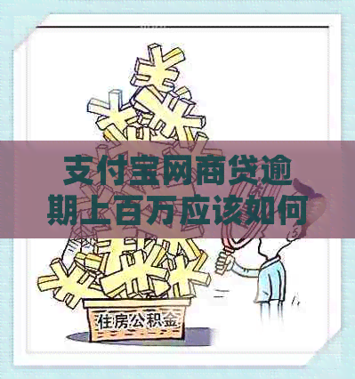 支付宝网商贷逾期上百万应该如何处理