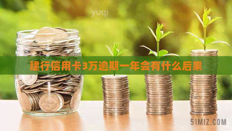 建行信用卡3万逾期一年会有什么后果