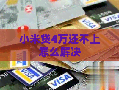 小米贷4万还不上怎么解决