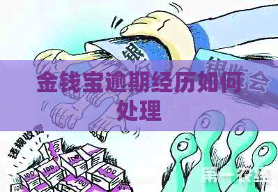 金钱宝逾期经历如何处理