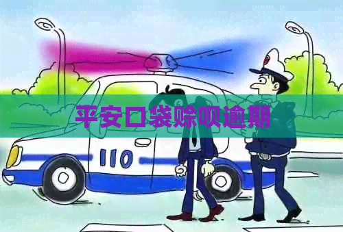 平安口袋赊呗逾期