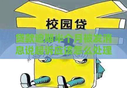 贷款逾期半个月被发消息说起诉应该怎么处理