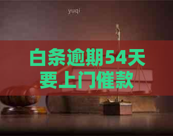 白条逾期54天要上门催款