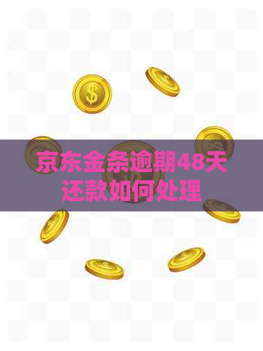 京东金条逾期48天还款如何处理