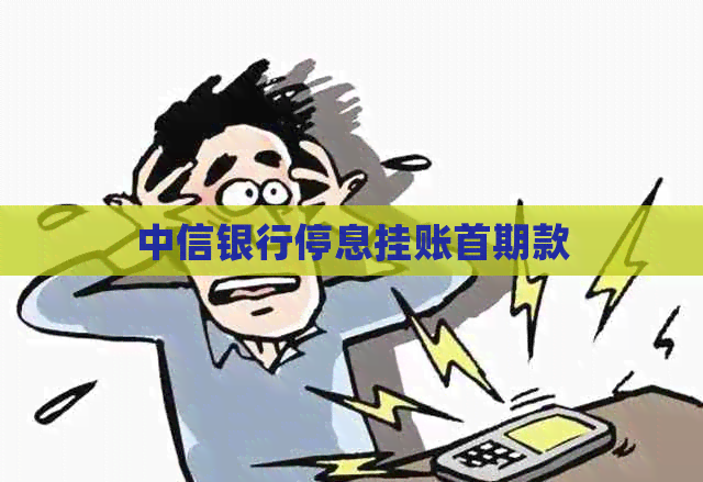 中信银行停息挂账首期款