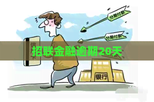 招联金融逾期20天