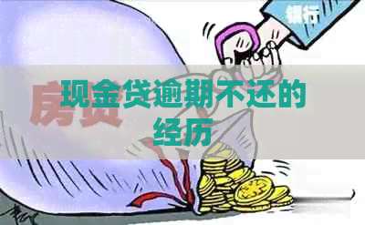 现金贷逾期不还的经历